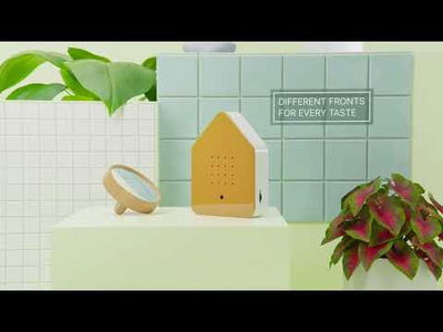 Birdybox speldosa fågelkvitter ek
