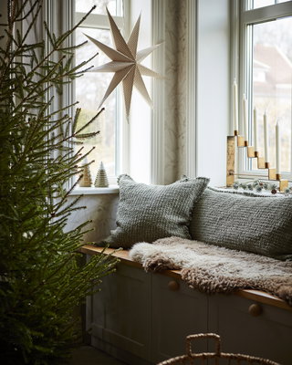 Allt inför julen - julstjärnor och juldekorationer