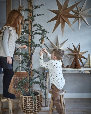 Trendiga julstjärnor
