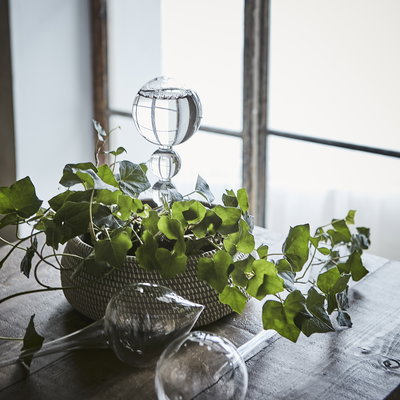 Olivia Bevattningskula Glas