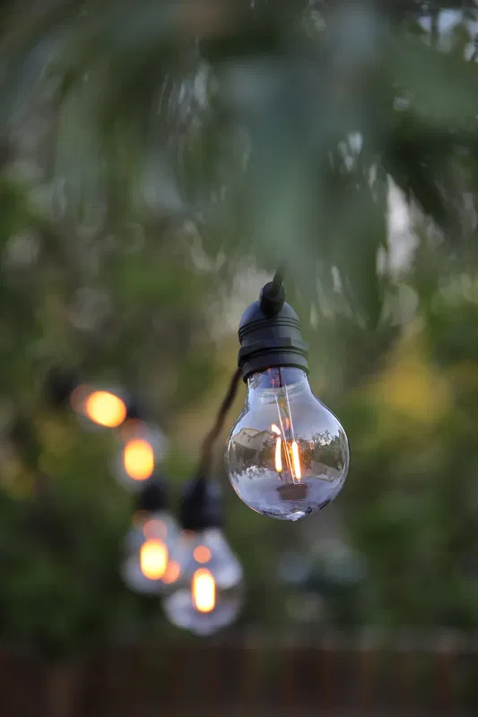 Link Partyslinga 5m Start