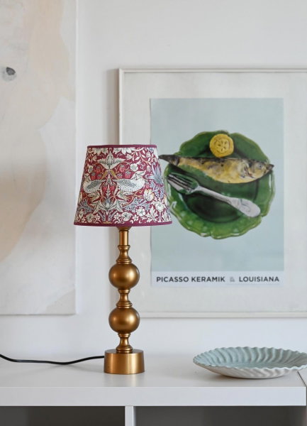 240029-17-100 & 6570-220