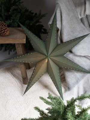 Grön klassisk julstjärna 2025