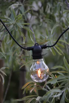 Link Partyslinga 5m Start