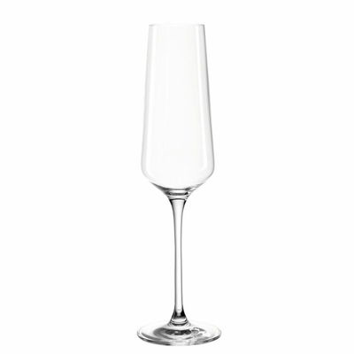Champagneglas puccini 280ml 6-pack