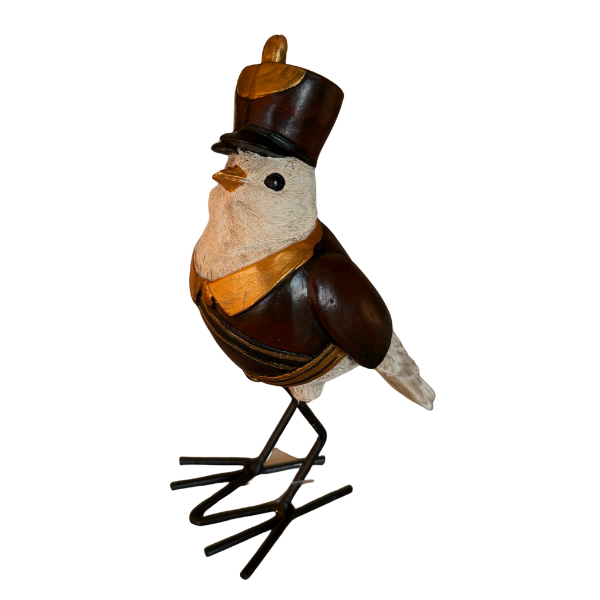 Kapten fågel 17 multi