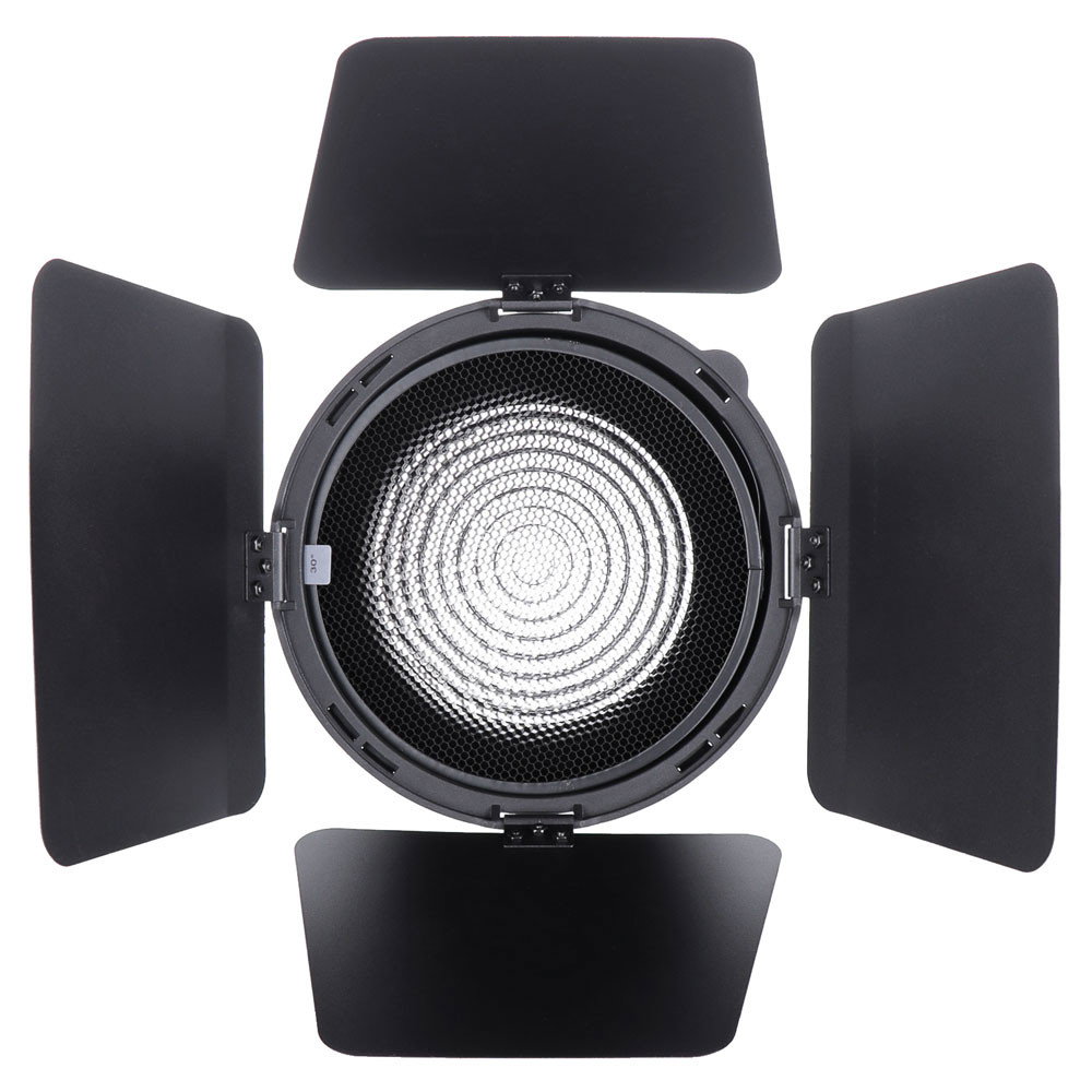 Fresnel med barndoors och raster