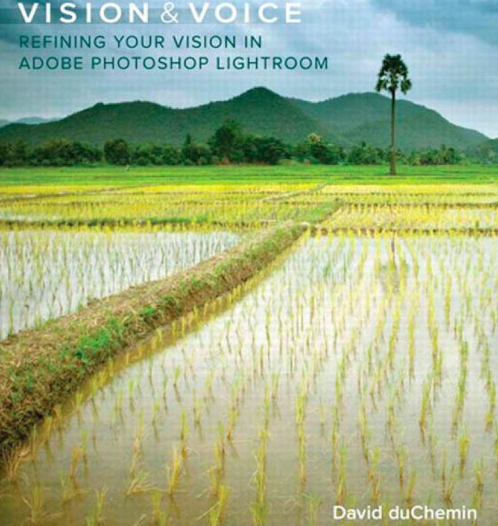 Vision and Voice: Refining Your Vision in Adobe Photoshop Lightroom