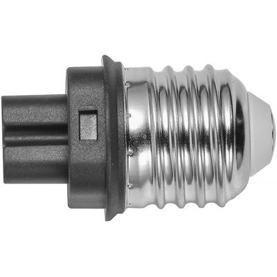 v4hAlozS9oGOikP1752649630