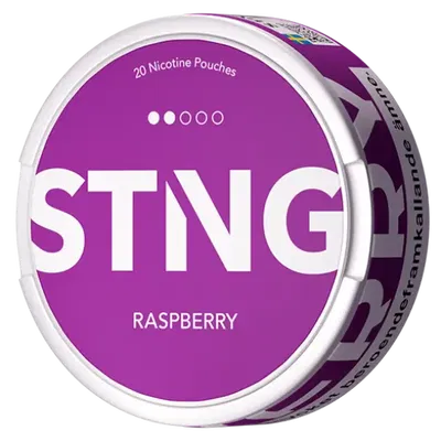 STNG Raspberry (EN)