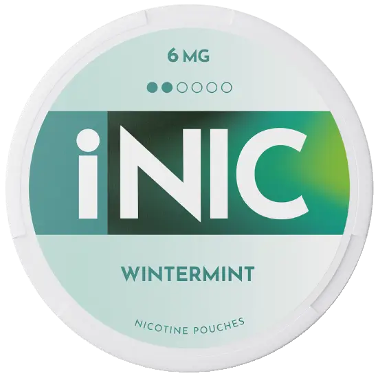 INIC Wintermint 6mg
