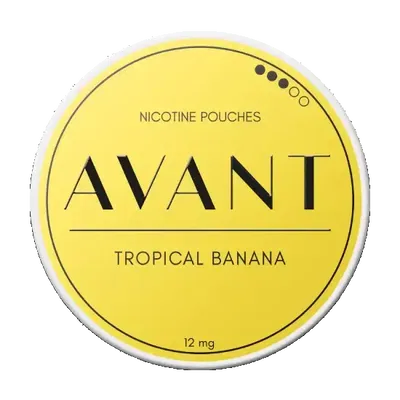 Avant Tropical Banana Normal