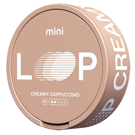 tenant-sync-loop-creamy-cappuccino-mini (2)