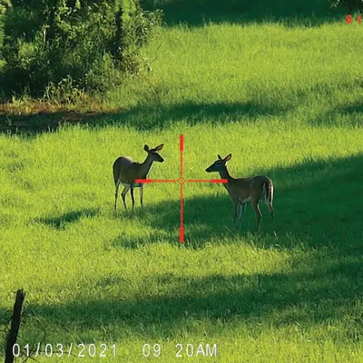 Sightmark Wraith 4K MINI 2-16x32 Digital Day/Night Riflescope w/Long Mount