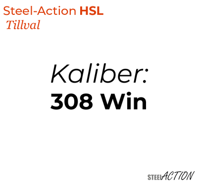 Steel-Action HSL, 308 Win (Kaliber)