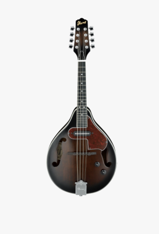 M510E-DVS Mandolin med mik.