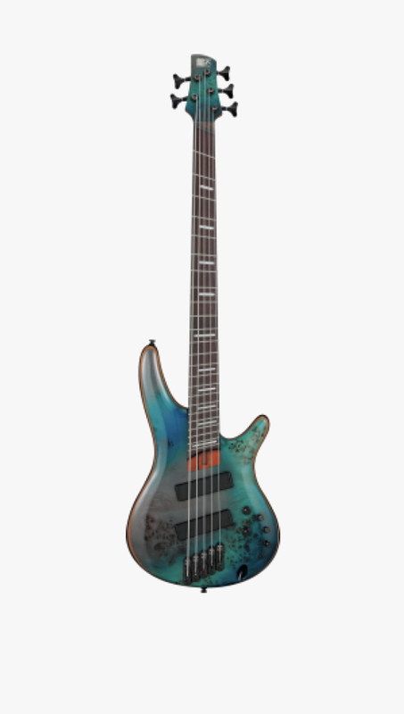 SRMS805-TSR SR Multi-scale 5-strängad