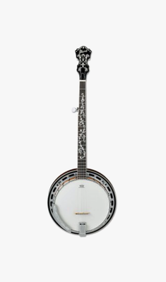 B200 5-str. Banjo