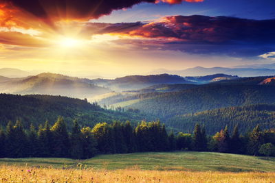 Ljuddämpande tavla - Carpathians in ukraine