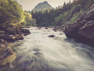 Ljuddämpande tavla - Mountain river in the forest