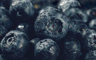 Ljuddämpande tavla - Blueberries close up 3d