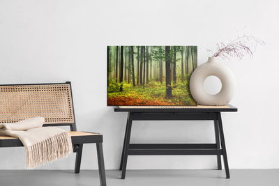 Ljuddämpande tavla - 3d forest landscape