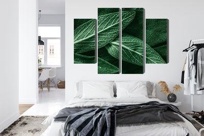 Ljuddämpande tavla - Salvia leaves on a macro