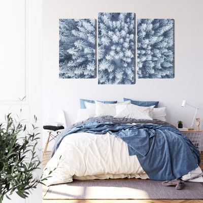 Ljuddämpande tavla - Aerial view of the winter