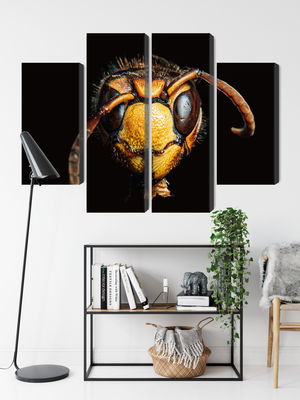 Ljuddämpande tavla - Hornet on a macro scale