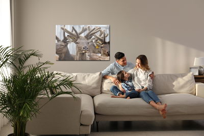 Ljuddämpande tavla - A herd of reindeer