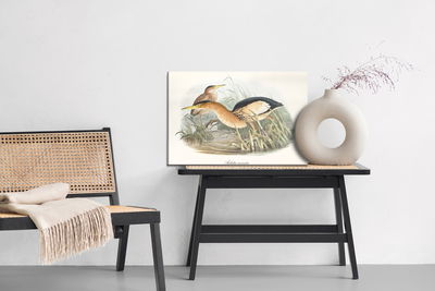 Ljuddämpande tavla - Water birds