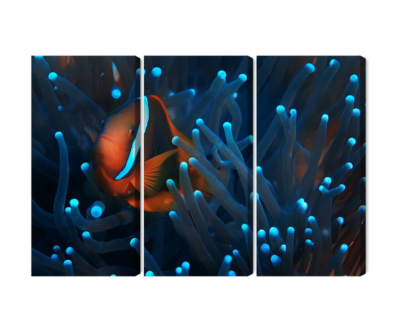 Ljuddämpande tavla - Clownfish in a 3d anemone