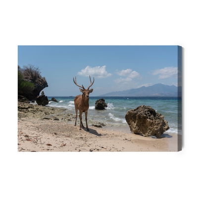 Ljuddämpande tavla - Deer on the beach