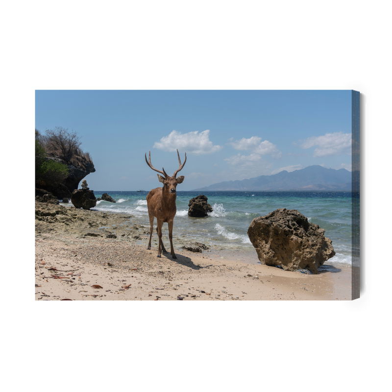 Ljuddämpande tavla - Deer on the beach