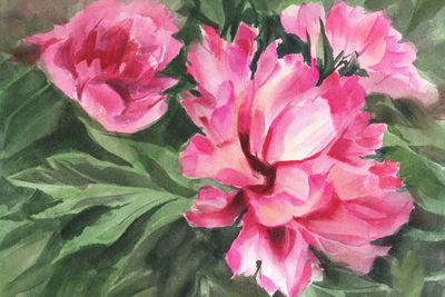 Ljuddämpande tavla - Peonies in leaves