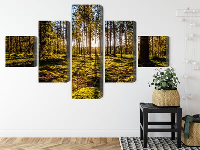 Ljuddämpande tavla - Morning sun rays