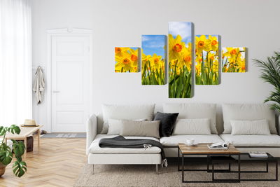 Ljuddämpande tavla - Daffodil field 3d