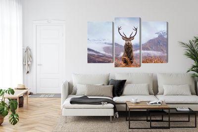 Ljuddämpande tavla - A deer on a background