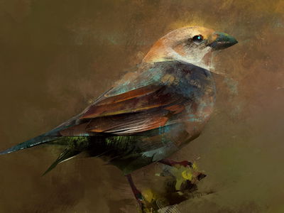 Ljuddämpande tavla - Bird sitting on a branch