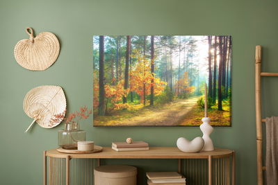 Ljuddämpande tavla - Rays of the sun in the 3d