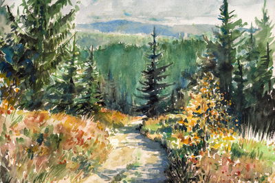 Ljuddämpande tavla - Forest landscape painted