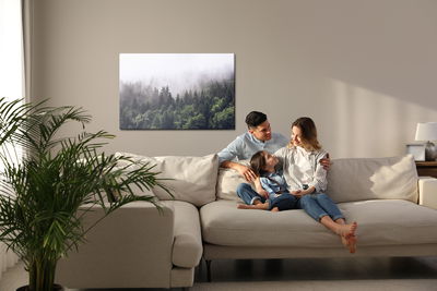 Ljuddämpande tavla - Moon over misty trees