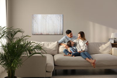 Ljuddämpande tavla - Birch forest in the mist