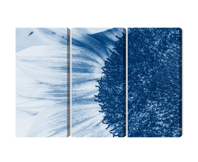 Ljuddämpande tavla - Blue sunflower on a macro