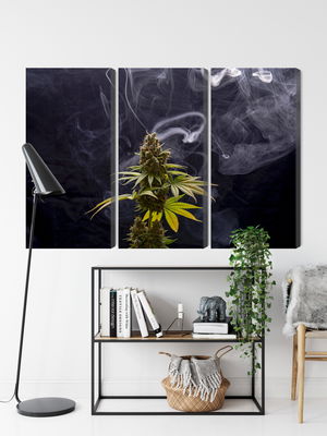 Ljuddämpande tavla - Cannabis plant on a smoky