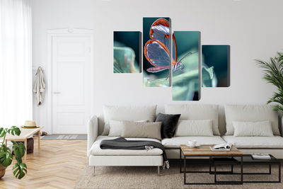 Ljuddämpande tavla - Glass-winged butterfly close