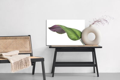 Ljuddämpande tavla - Calathea leaf