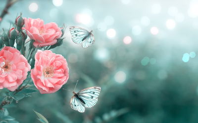 Ljuddämpande tavla - Delicate flowers and 3d