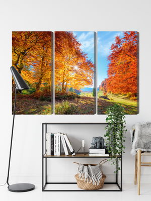 Ljuddämpande tavla - Colorful autumn trees