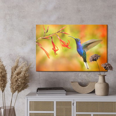 Ljuddämpande tavla - Hummingbird bird and flowers